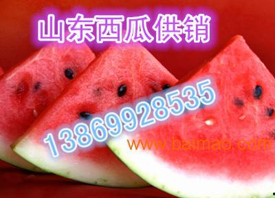 合瓜今日价格,市场动态一览”