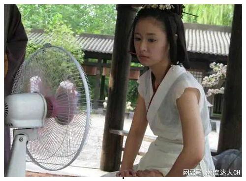 明星网红切片免费,免费获取热门内容背后的秘密