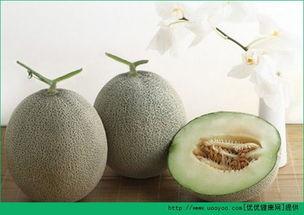 有酒味的黑蜜瓜可以吃吗,有酒味的黑蜜瓜能否放心食用？