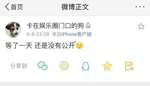 吃瓜爆料91在线观看,独家在线观看攻略