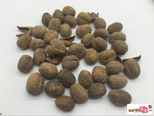 吃瓜爆料小巴豆视频,视频背后的惊人真相